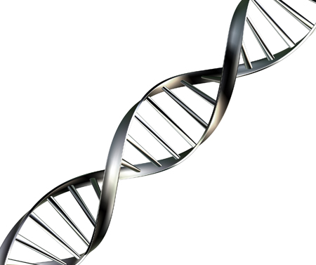 اختبار الحمض النووي (DNA) الخاص باللوحات