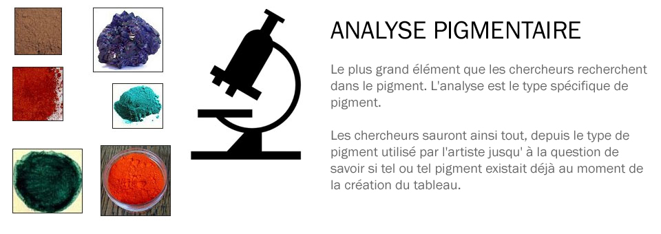 Pigment Analysis
