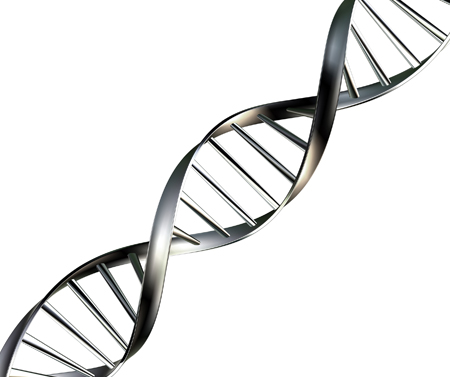 DNA testing of paintings