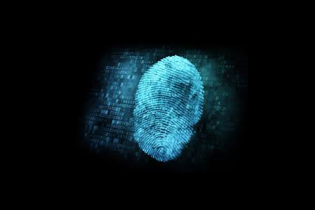 Fingerprints analysis