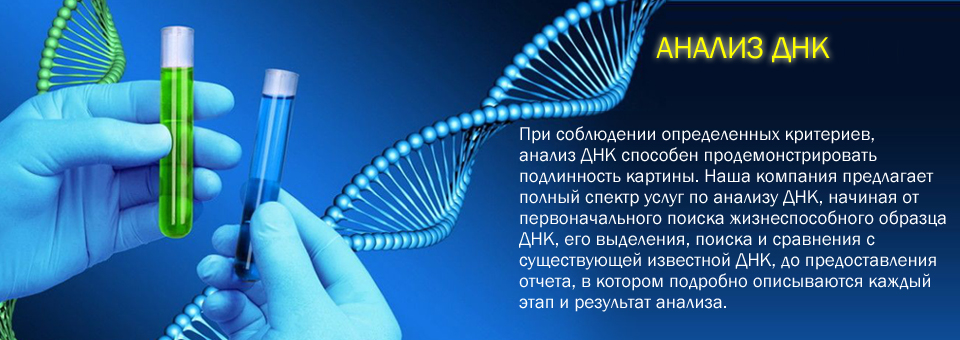 DNA Testing