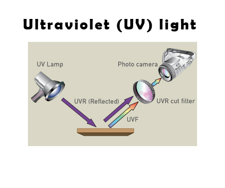 Ультрафиолетовый (УФ) свет для целей исследования произведения искусства